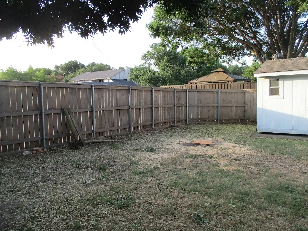 Cleared yard after professional tree removal in Live Oak