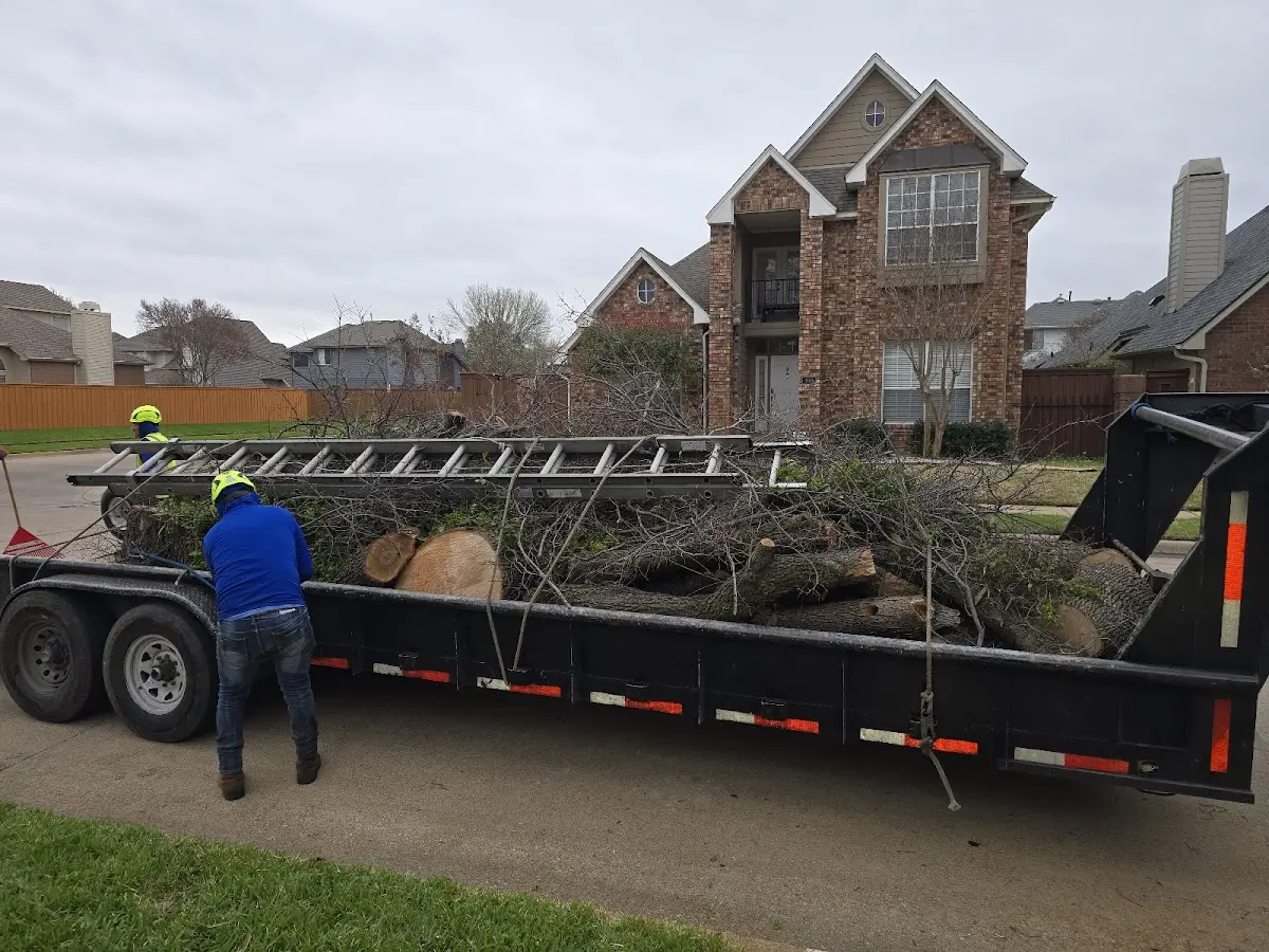 Expert Crown Reduction with proper safety equipment in Live Oak